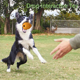 Dog Chew Toys for Aggressive Chewer, Tough Dog Dental Chews Toy, Indestructible Dog Toys for Large Dogs， Puppy Chew Toys