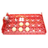 Incubator 96 Eggs Bird Incubator Egg Rack Tray 24 Automatic Egg Incubator 48 Eggs Quail Parrot Incubation Tool Free Shipping