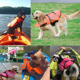 Dog Life Jacket Wings Design Pet Flotation Life Vest Ffor Small Middle Large Dogs Lifesaver Preserver Pets Swimsuit With Handle