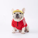 Designer Dog Clothes Small Medium-sized Chihuahua French Bulldog Sweatshirt Clothes Autumn Winter Fashion Zipper Pullover Jacket