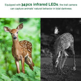 Camera 8GB TF Card 12MP 1080P Infrared Night Vision Wildlife Scouting