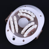 Magnetic Therapy Pain Relief Tool Electric Mini Body Massager Roller Face Leg Anti-Cellulite Slimmer Massage Tool