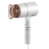 800W Professional Hair Dryer (With Powerful Ac Motor), Negative Ion Technology,2 Speed / Cold Settings US Plug