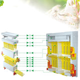 Bee Hive Beekeeping King Box Multi-Functional Queen Bee Hive Plastic Foam Material Double Box Queen Rearing Beehive Beekeeping T