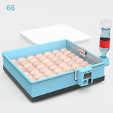 Automatic Incubator 20-66 Eggs Incubator Chicken Goose Duck Quail Pigeon Poultry Brooder Automatically Farm Hatching Machine