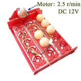 15 Eggs Mini Incubator Automatically Turn Eggs Tray 220V/110V/12V Laboratory Family Incubator Poultry Bird Incubator Equipment