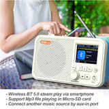 DAB/DAB+FM Digital Radio, 2.4-Inch Color LED Display, Support SD Card Insertion, With Bluetooth, MP3 Player
