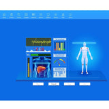 New Arrival BIOSCAN Quantum Resonance Magnetic Analyzer Quantum Body Analyzer With Testing Probe 52 Reports