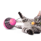 Interactive Dog Cat Toys  Food Ball Food Dispenser Slow feed Playing Training For small big Cat Dog Pet Supplies toys