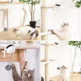 Automatic Cat Toy Ball Electric Lifting Interactive Self Playing Teaser Puzzle Smart Pet Cat Ball Toys  Supplies for Cats Kitten