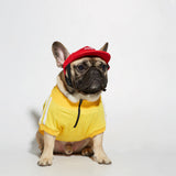 Designer Dog Clothes Small Medium-sized Chihuahua French Bulldog Sweatshirt Clothes Autumn Winter Fashion Zipper Pullover Jacket