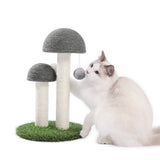 Local Domestic Delivery Cat Climbing Frame Cat Scratching Post Tree Scratcher Furniture Gym House Toy Cat Jumping Training Toy