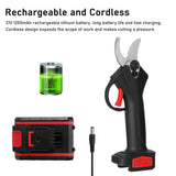 21V Cordless Electric Pruning Shears 30mm Cutting Diameter Carry Case Rechargeable 1200mAh Lithium Battery &amp; Charger Powered