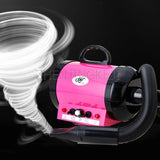 220V Pet Blow Wind Machine Small Dog Water Blowing Tools Large Dog 2200W High Power Home Kitten Bath Drying Blowing Artifact