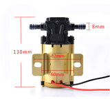 12V 24V electric  gasoline  diesel pump  high-power universal self-priming Golden Silver pump