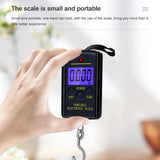 10pcs/Lot 40kg 10g Digital Scale Mini Scales Fishing Luggage Travel Steelyard Hanging Hook Scale Weight Tool With Backlight