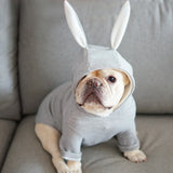 French Bulldog Hoodies Coat Jacket Cute Rabbit Ears Shape Winter Warm Pet Clothes for Small Dogs Puppy Cat Clothing Costume