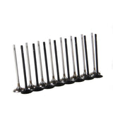 04E 109 611S EA211 Intake &amp; Exhaust Valve Kit Fit For V-W Golf 1.6L 15-19 CWVA 04E109601 04E109611L