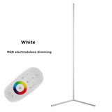 Nordic Modern Simple Remote Control RGB Corner Floor Lamp  for Living Room Bedroom Atmosphere Standing Indoor Light