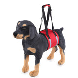 Popular Dog Carrying And Pet Assisting With Protection Belt adjustable Harness Set Leash Soft carrier accessories supplies soft