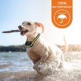 Dog Training Collars 300M Remote Electronic shock With LCD Screen Display Rechargeable 100 Levels Pet Dog Collars accessories