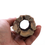 Aquarium Decoration Ornament Tank Hiding Tube Breeding Hiding Cave Shelter With Holes For Fish Shrimp Plant Fish Tank Decoration