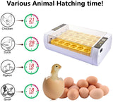 24 Egg Incubator Automatic Egg Incubators Hatching for Chicken Birds Quail Constant Temperature Control Farm LED Light