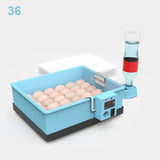 Automatic Incubator 20-66 Eggs Incubator Chicken Goose Duck Quail Pigeon Poultry Brooder Automatically Farm Hatching Machine