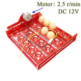20 Egg Incubator Turn Eggs Tray Eggtester Automatically Turn The Eggs Experimental Teaching Equipment Voltage 220V / 110V / 12V