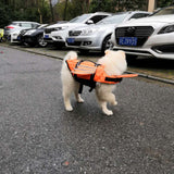 Practical Life Summer Bathing Suit Fashion Swimming Clothes Breathable Life Vest for Pet Dog Puppy (Size)