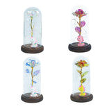 Artificial Eternal Rose Light in LED Light Glass Cover Luminous Preserved Flower With Pony Doll Ornaments Valentines Mothers Day