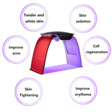 7 Colors Electric Skin Rejuvenation Acne Treatment Hot Wind And Cold Spray Phototherapy Spectrometer PDT/LED Facial Skin Care