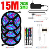 RGB 2835 LED Light Strip 12V Ribbon LED Lamp Tape RGB Flexible Lamps 5M 10M 15M 20M TV BackLight For bedroom Wall Decor Lighting
