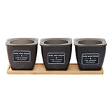 3pcs Windowsill Home Decor Balcony With Bamboo Tray Translucent Black Stickers Ropes Office Flower Pot Set Living Room Succulent