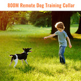 Petrainer 619A-1 800M Electric Dog Collar Remote Dog Training Collar With Vibration Beep Shock Collar For Dog Training