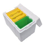 Bee Hive Mini Mating Box Removable Feeder Mating Beehive with Plastic Frames Beekeeping Pollination Box Nuc Beehive