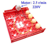 Quail Incubator 16 Eggs Or 64 Birds Eggs Automaticturn Eggs Tray Hand Incubator Accessories Laboratory Incubators