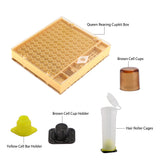 1 Set Bee Tools Cages King Queen Rearing Cup Complete kit Beekeeping Catcher Box Cell Breeding Grafting Box Apicultura Equipment