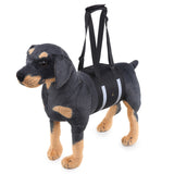 Popular Dog Carrying And Pet Assisting With Protection Belt adjustable Harness Set Leash Soft carrier accessories supplies soft