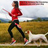 Funny Flirt Pole Interactive Dog Toys Durable Indestructible Chasing Tail Teaser and Training Toy Chewing Rope for Dog