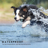 Electric Remote 800m Control Dog Training Device LCD Display IP67 Waterproof Beep/Vibration/Electric Shock All Size Dog Collar