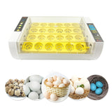 24 Eggs Incubator Full Automatic Brooder Bird Quail Hatchery Machine Digital Poultry Hatcher Machine Farm Incubation 110 V 220V