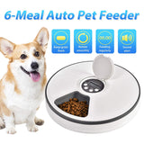 Automatic Pet Feeder Food Dispenser for Dogs, Cats &amp; Small Animals - Features Distribution Alarms, Programmed Timed Self 6 Meal