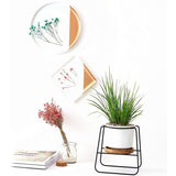 6.30 Inch Modern Plants And Planters Garden Ceramic Round Bowl Large Planter With Electric Spray Bottle Watering Tool