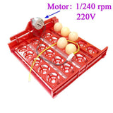 20 Egg Incubator Turn Eggs Tray Eggtester Automatically Turn The Eggs Experimental Teaching Equipment Voltage 220V / 110V / 12V
