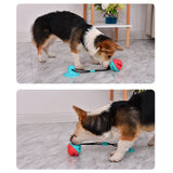 Pet Dog toys Interactive Cat Dog Chew Toy Rubber Balls with Suction Cup for Small Large Dog Tooth Cleaning Balls toys