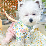 Spring Summer New Dog Jumpsuits Teddy Cat Small Dog Four-legged Rompers Knickers Pet Clothes