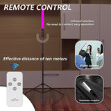 RGB Colorful Stick 114 LEDs Waterproof Photography Adjustable Color Temperature Handheld Light Stick with Remote