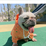 Owner Pet Dog Clothes for Small Medium Dogs New Design Fashion Parent-Child Dog Hoodie French Bulldog Coat Yorkshire Pug Costume
