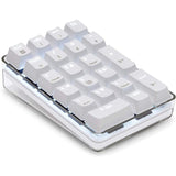 Mechanical Numeric Keypad GATERON Brown Switch Wired Gaming Keypad Crystal Case White Backlit 21 Keys Mini Numpad Keypad